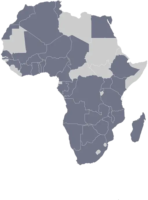 African Network