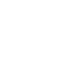 Intrepid