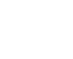 Intrepid