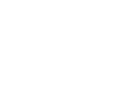 VPCG-Logo