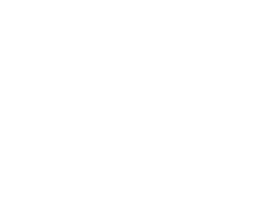 VPCG-Logo