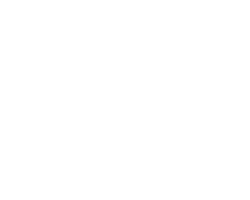 Zeleman-Logo