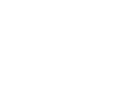 Zeleman-Logo
